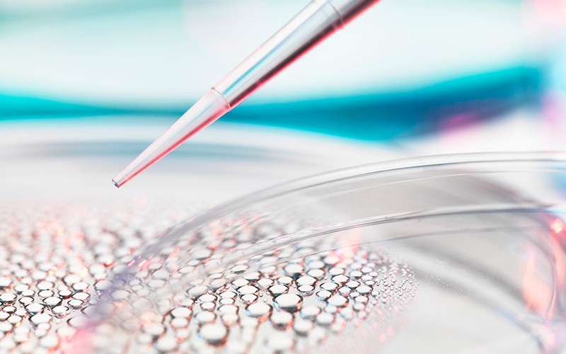 生物分析服務(wù)