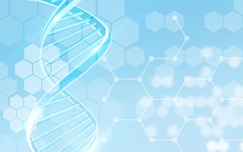 DNA編碼化合物庫(kù)